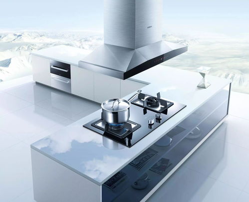 高管個個當老板, 老板電器 名副其實