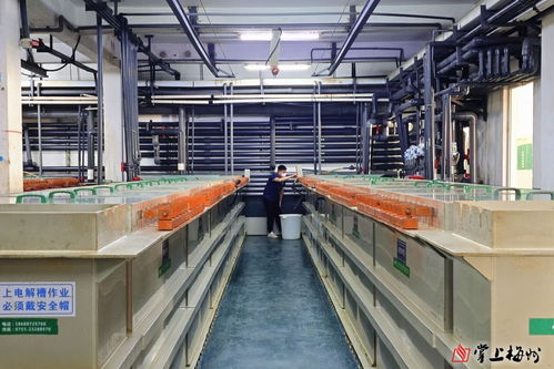 無廢工廠，向綠而行——記者帶你探訪博敏電子股份電器制造基地