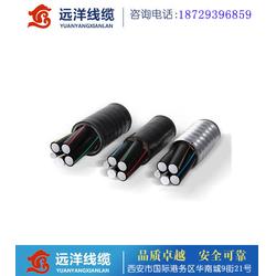 華陰鋁合金電纜,鋁合金電纜廠家直銷,遠(yuǎn)洋電線電纜