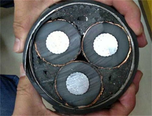 天津屏蔽電纜直銷 天津屏蔽電纜 北山電線