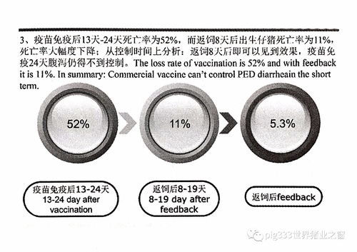 應用商品苗與返飼控制ped 正大集團 李曼專家ppt分享