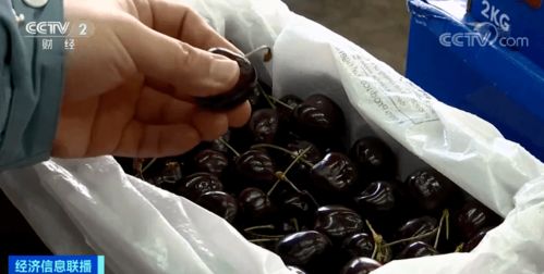 瘋搶 車厘子價格直接腰斬 貴港情況是...