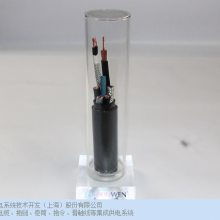 上海廣東耐用性高柔性電纜哪個廠家質量好 歡迎咨詢 多穩(wěn)移動供電系統(tǒng)技術開發(fā)供應價格 中國供應商