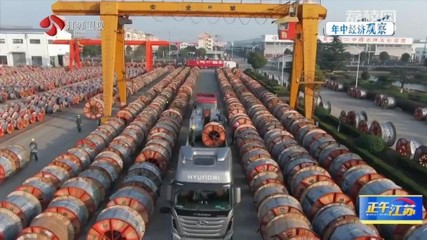 “內外合力”激發澎湃動力 上半年江蘇民營經濟發展量質齊升