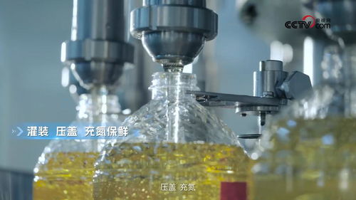 央視網走進多力安心工廠,探尋 降低油煙技術 專利的奧秘