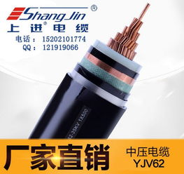 上海永進電纜yjv62 1x500鎧裝交聯聚乙烯電纜國標足米防火電力電聯廠家直銷圖片,上海永進電纜yjv62 1x500鎧裝交聯聚乙烯電纜國標足米防火電力電聯廠家直銷高清圖片 上海永進電纜