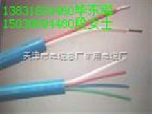 通信電纜廠家直銷 hyap hya hyac hpvv
