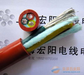 耐高溫耐油電纜 品牌 耐高溫耐油電纜 采購 圖片 批發
