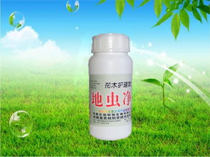 如何進行新裁大樹的養護管理,快來跟著匯佳園林了解一下
