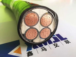 現(xiàn)貨供應(yīng)低壓電纜yjv 銅芯電力電纜 廠家直銷國標(biāo)銅電纜